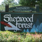 WNC vacation rentals, Sherwood Forest Brevard NC rentals