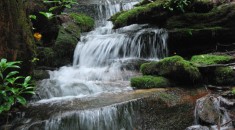 Indian Camp Mountain Waterfall Property